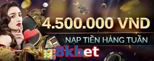8kbet
